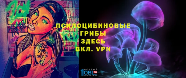 дмт Армянск