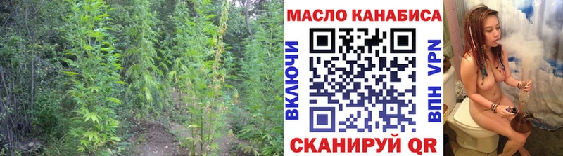 где купить наркоту  Удомля  Дистиллят ТГК THC oil 